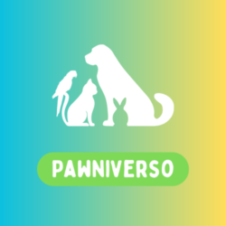 pawniverso.com